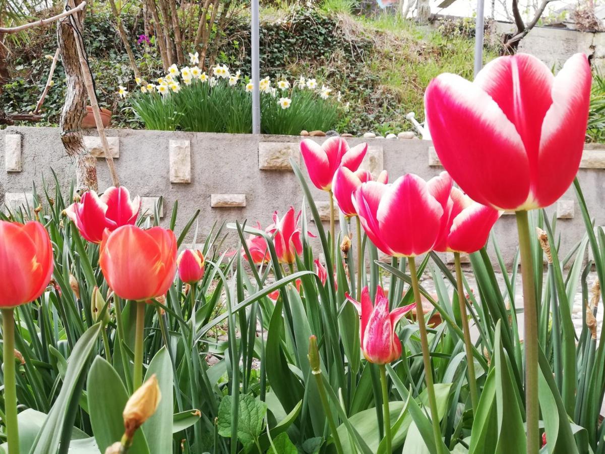 Vila Flori โคเปร์ ภายนอก รูปภาพ
